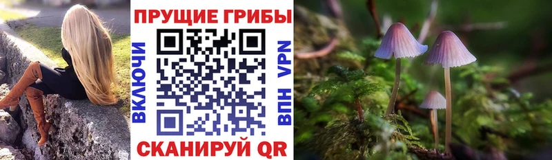 Псилоцибиновые грибы мухоморы  где найти   Нягань 