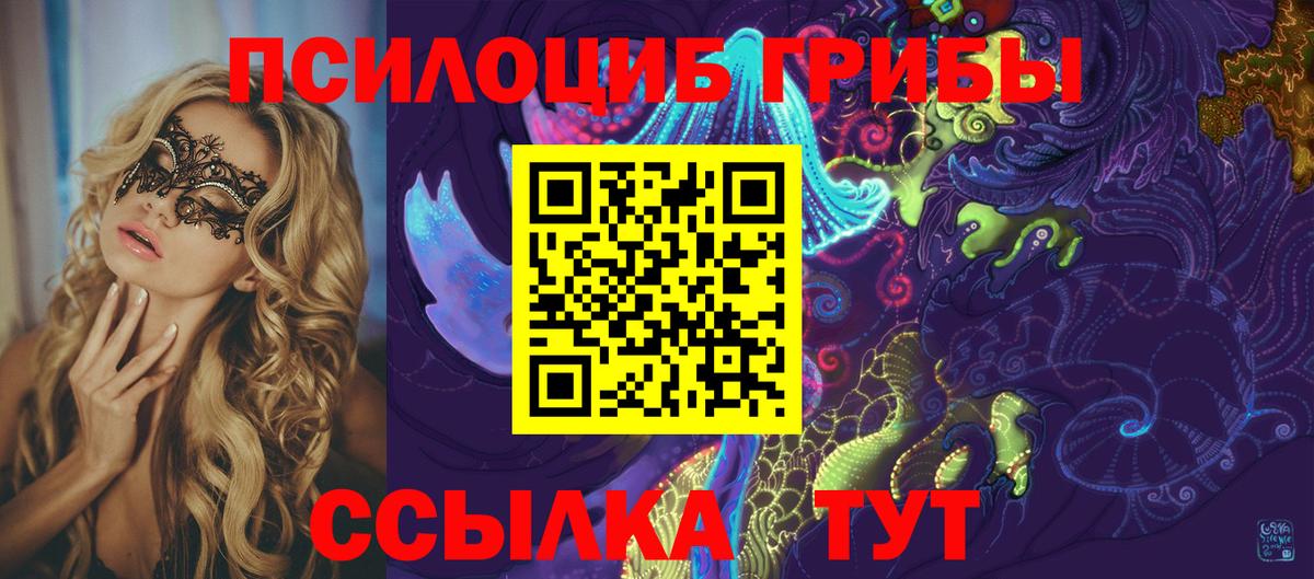 Галлюциногенные грибы Psilocybe Нягань