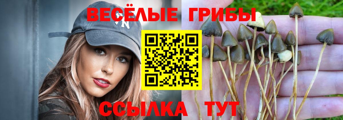 Нягань  Псилоцибиновые грибы Psilocybe  Вход с VPN 